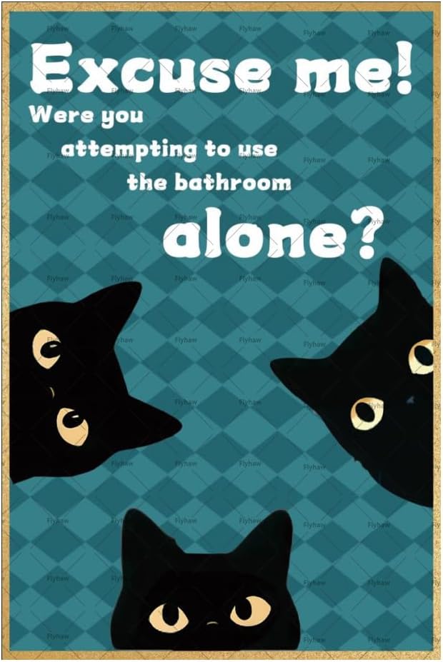 Przepraszam, czy próbowałeś zr – Home Alone Bathroom recenzja i cena